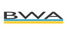 bwa consultoria