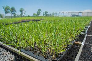 Observatorio da Industria