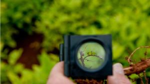 Observatorio da Industria