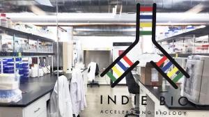 Observatorio da Industria