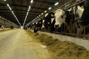 Observatorio da Industria