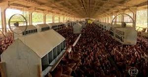 Observatorio da Industria