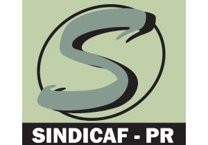 Sindicaf