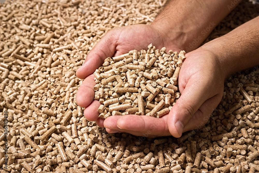 Imagem sobre a notícia Europa busca fornecedores de pellets de madeira