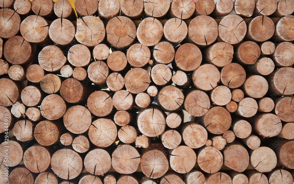 Imagem sobre a notícia CIN/PR divulga oportunidade de exportação de madeira para Cuba
