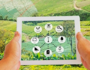 Startups com solues para setor agropecurio