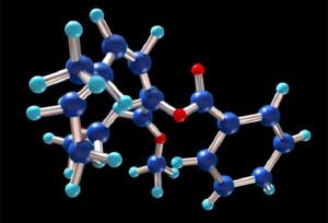 Criada biblioteca virtual de estruturas qumicas para reunir dados da biodiversidade brasileira