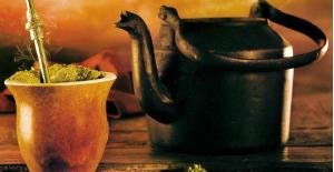 Chumbo e Cdmio no contaminam pelo chimarro